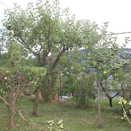 Tutnovo 13 Apartamento Rijeka Exterior foto